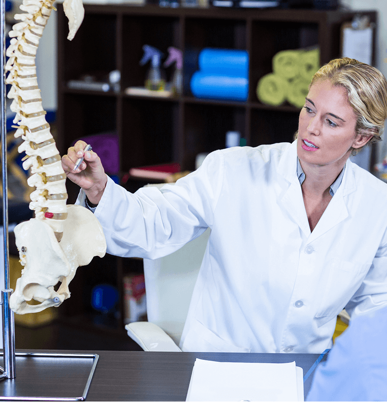 Physical therapist reviewing spinal anatomy model for back pain rehabilitation at Fort Lee PT in Fort Lee NJ