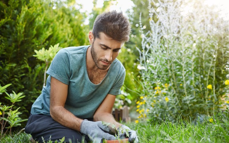 How to Avoid Pain from Gardening
